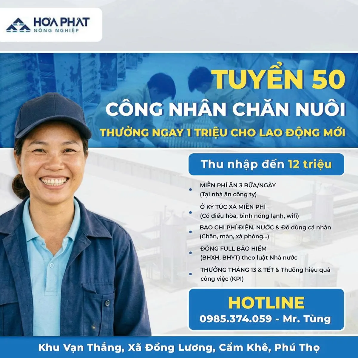 BIN Media x Gia Cầm Hòa Phát: Khi Facebook Ads mở lại dòng ứng viên cho bài toán tuyển dụng