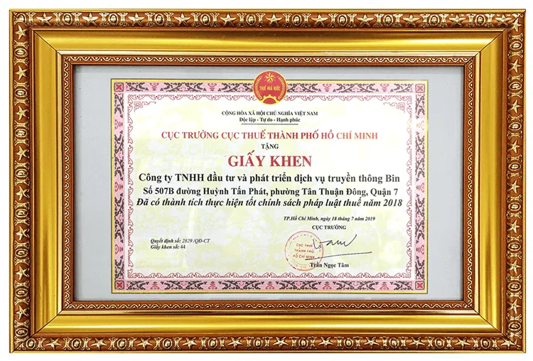 BIN Holdings Vinh Dự Được Cục Trưởng Cục Thuế Tp.hcm Trao Tặng Bằng Khen