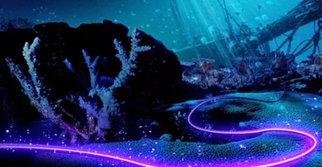 Sự cố đứt cáp quang biển 2014 ảnh hưởng đến tốc độ mạng tại Việt Nam